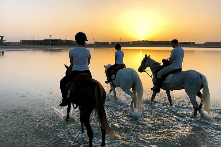 Ride the Red Sea: Desert Dunes, Beach Gallops & Swimming Horses in Hurghada photo 2
