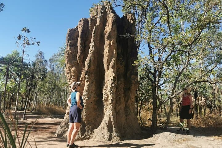 Litchfield National Park Small‑Group Day Tour from Darwin — Swim Florence & Wangi Falls