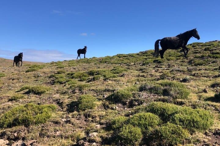 Conquer Mafadi: 4-Day Drakensberg Peak Hike & Camp in Injasuthi photo 3