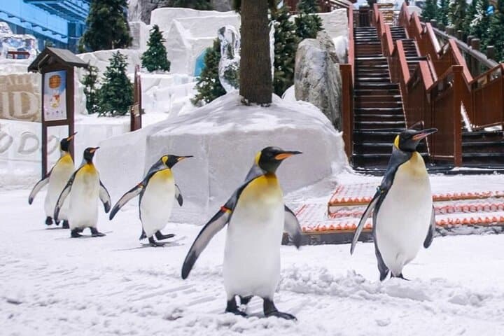 Ski Dubai Tickets: Indoor Snow Park at Mall of the Emirates photo 3