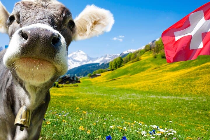 Private Excursion to Gruyères: Chocolate, Cheese & Medieval Castle Day Trip from Geneva