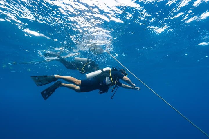 Full-Day Intro Scuba Diving in Marsa Alam — Red Sea Beginner Dive with Lunch photo 2