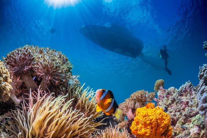 Full-Day Intro Scuba Diving in Marsa Alam — Red Sea Beginner Dive with Lunch photo 5