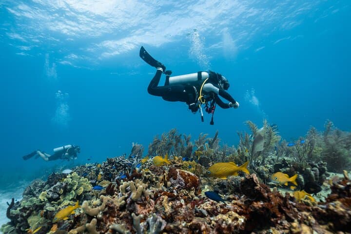Full-Day Intro Scuba Diving in Marsa Alam — Red Sea Beginner Dive with Lunch photo 6