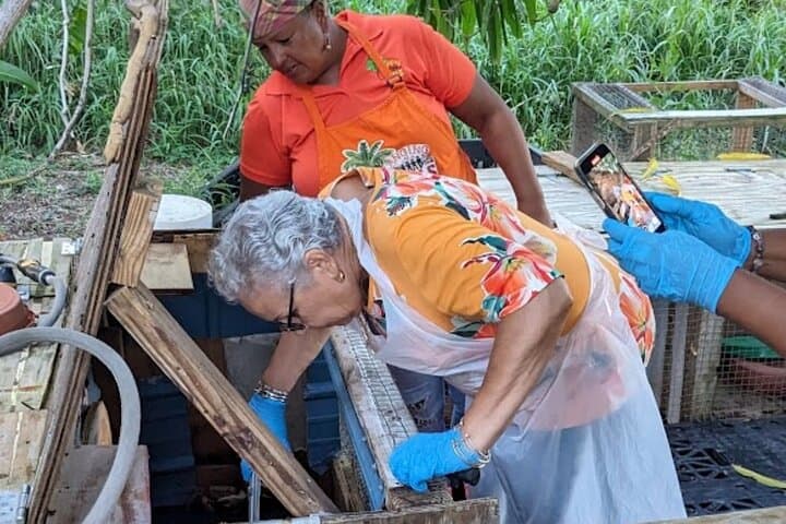Crabs with Carmen: Evening Crucian Cooking Class & Cultural Dinner in St. Croix photo 3