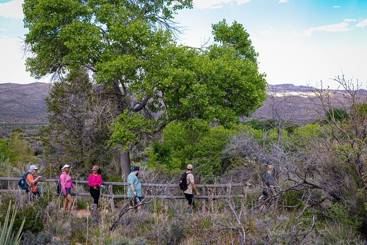 Spring Mountain Ranch Hike and Happy Hour in Red Rock Canyon photo 5