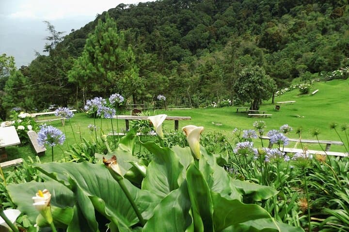 Climb Cerro El Pital: Private Ecotour to El Salvador’s Highest Peak photo 2