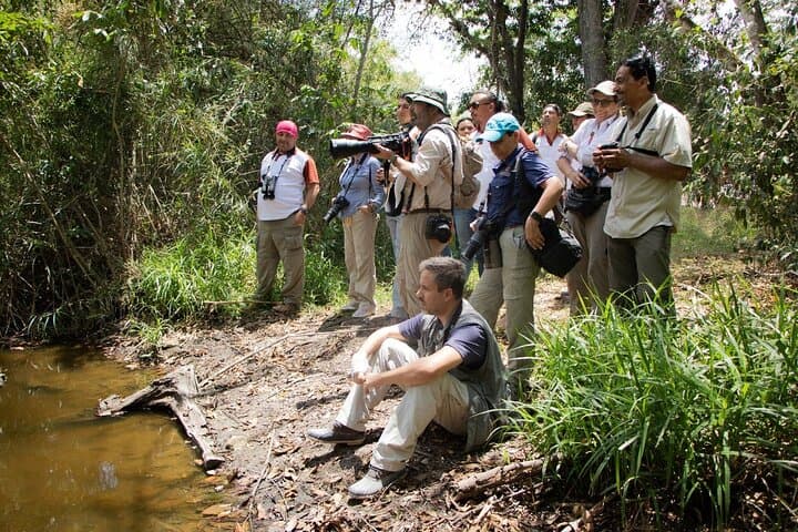 Private Tikal National Park Tour from Flores: Temples, Wildlife & Lunch photo 3