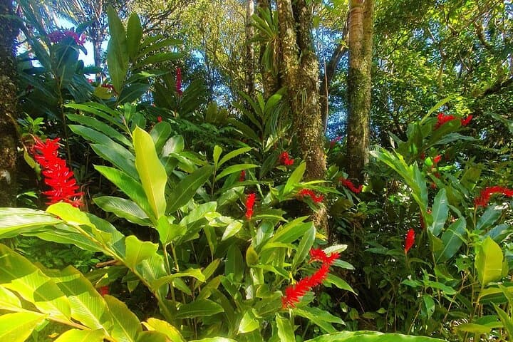 Puerto Plata City Tour: Mount Isabel Views, Rum Tasting & Chocolate Workshop photo 3