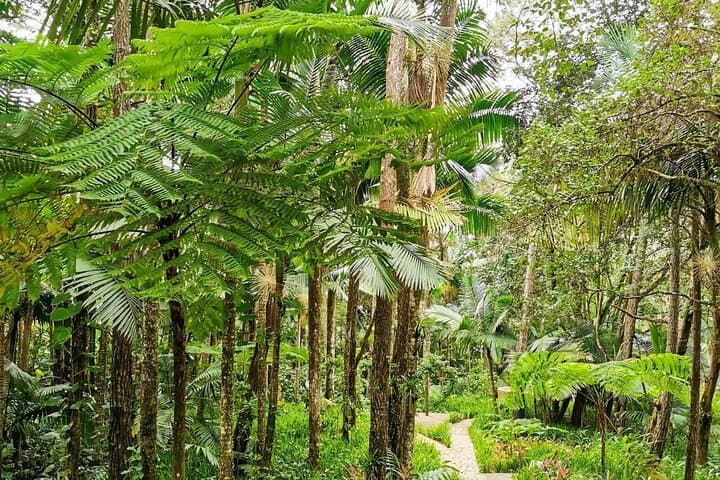 Puerto Plata City Tour: Mount Isabel Views, Rum Tasting & Chocolate Workshop photo 4