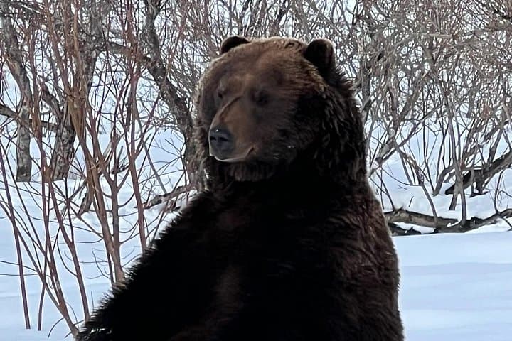 Portage Glacier & Alaska Wildlife Conservation Center: Day Tour from Anchorage photo 2
