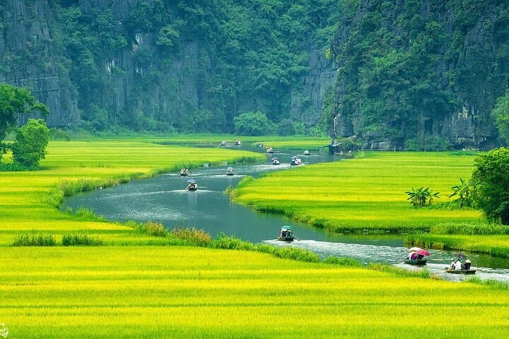 Ninh Binh Day Trip from Hanoi: Tam Coc or Trang An, Mua Cave & Hoa Lu photo 3