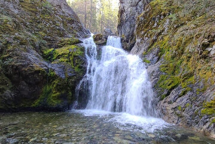 Mount Shasta Galactic Origins Tour: Sacred Sites, Chart Reading & Energy Session photo 6