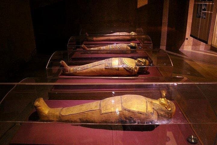 Private Motorboat Tour to Aswan's Nubian Museum & Village photo 2