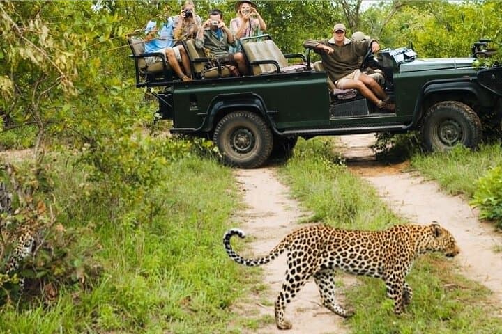 Kruger National Park 4-Day Full-Board Safari from Johannesburg: Big 5 Game Drives & Hazyview Culture