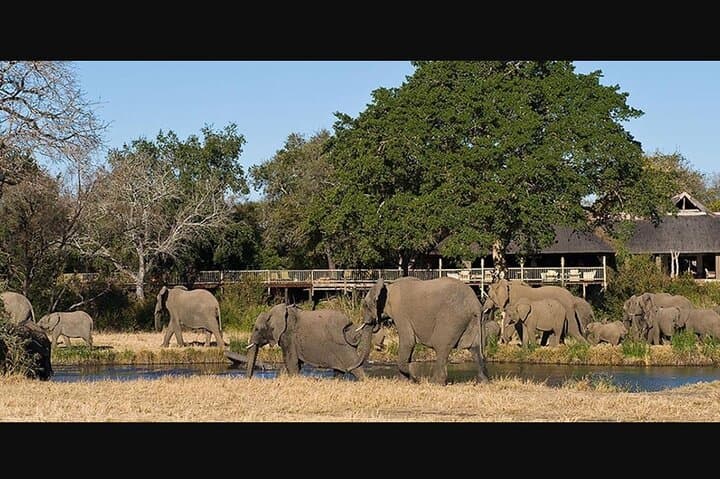 Kruger National Park 4-Day Full-Board Safari from Johannesburg: Big 5 Game Drives & Hazyview Culture photo 2