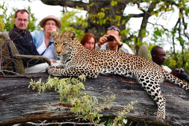 4-Day Kruger Big 5 Safari from Johannesburg: Game Drives, Panorama Route & Wildlife Immersion photo 2