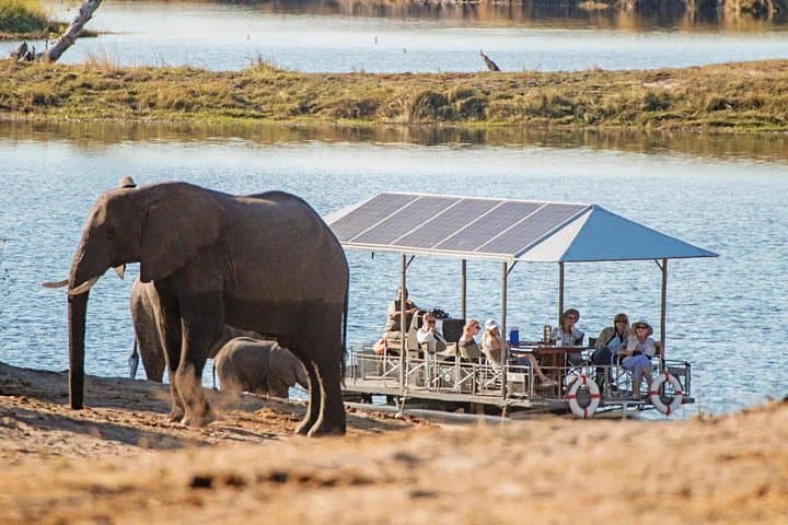 9-Day Victoria Falls to Okavango Expedition — Hwange, Chobe & Moremi Safari photo 3