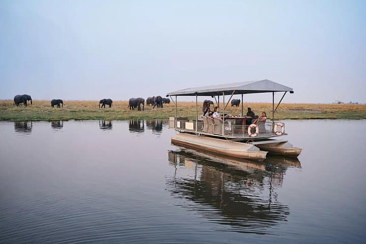 9-Day Victoria Falls to Okavango Expedition — Hwange, Chobe & Moremi Safari photo 4