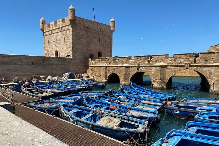 Essaouira Private Day Trip from Marrakech: Coastal Escape & Argan Co-op Visit