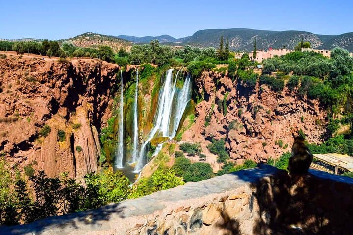 Ouzoud Waterfalls Day Trip from Marrakech — Hike, Swim and Village Culture photo 2