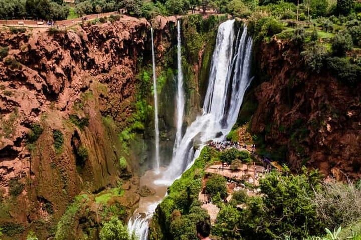 Ouzoud Waterfalls Day Trip from Marrakech — Hike, Swim and Village Culture photo 5