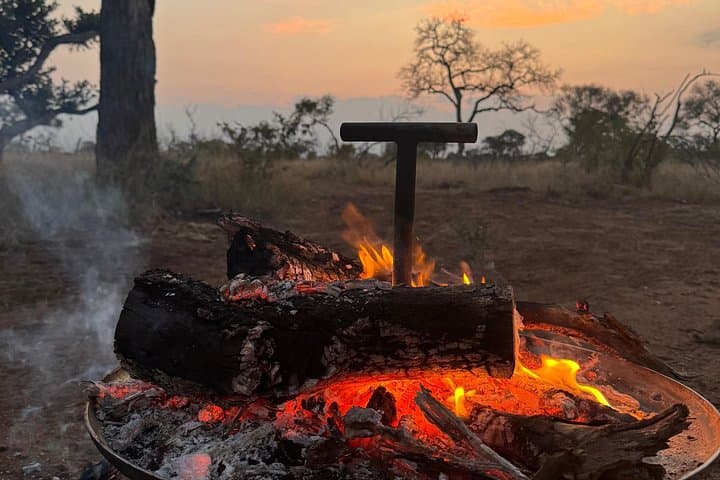 Bush Dinner & Night Game Drive Near Hoedspruit: Gourmet Safari Under the Stars photo 4