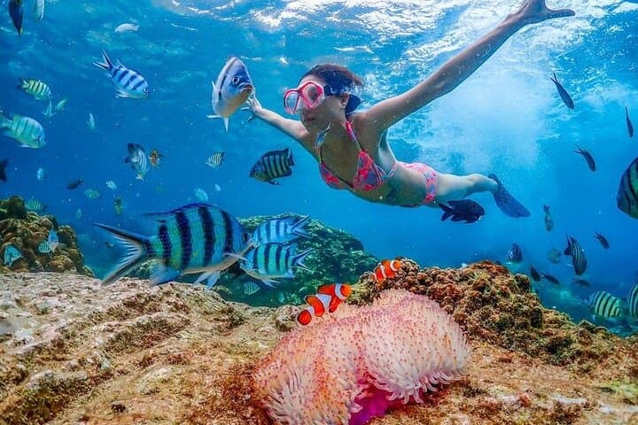 3-Day Lombok Snorkel & Culture Tour: Secret Gilis, Sasak Villages & South Beaches photo 5