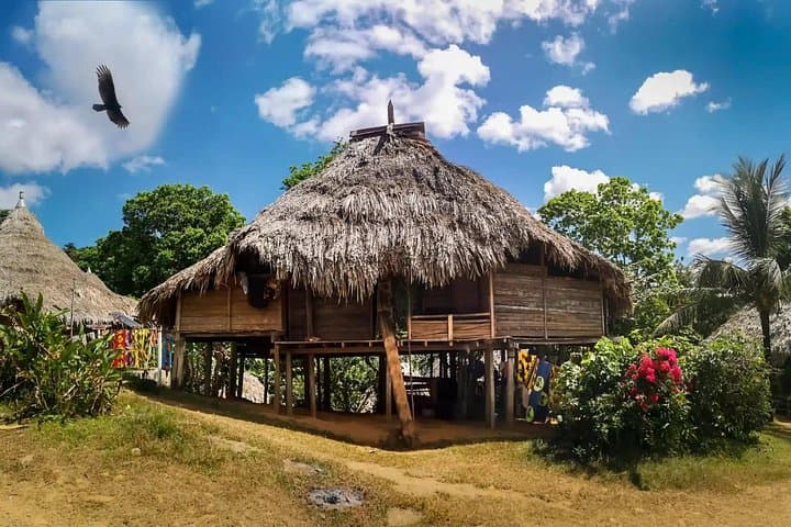 Chagres River and Emberá Village Canoe Adventure from Panama City photo 4