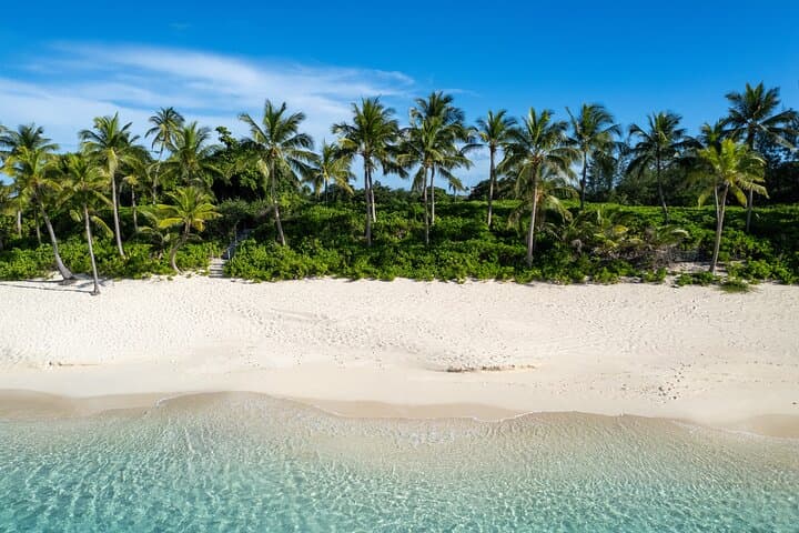 Rose Island Snorkel & Turtle Visit: Half-Day Nassau Getaway from Nassau photo 2