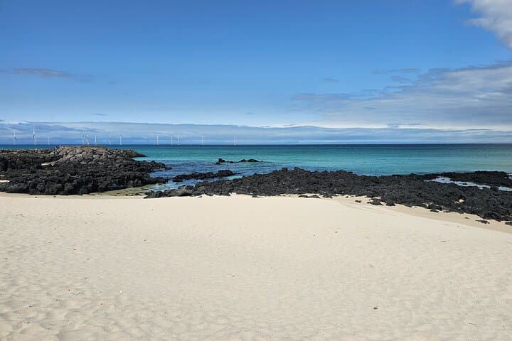 Handam Coastal Road Private Transfer: West Jeju Cafe Drive & Beach Walk photo 3