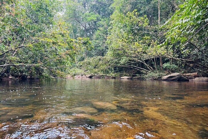 Dediyagala Village Tour: Rainforest Walks, River Bath & Traditional Sri Lankan Lunch photo 2
