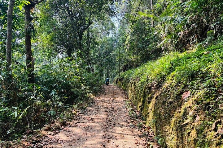 Dediyagala Village Tour: Rainforest Walks, River Bath & Traditional Sri Lankan Lunch photo 4