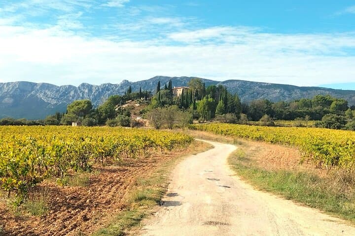 Half-Day Sainte-Victoire Wine Tour with Picnic and Pétanque photo 4