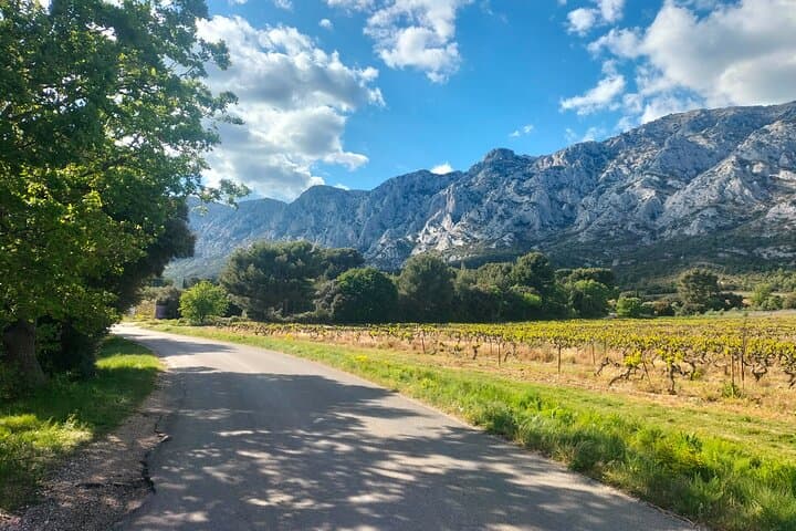 Half-Day Sainte-Victoire Wine Tour with Picnic and Pétanque