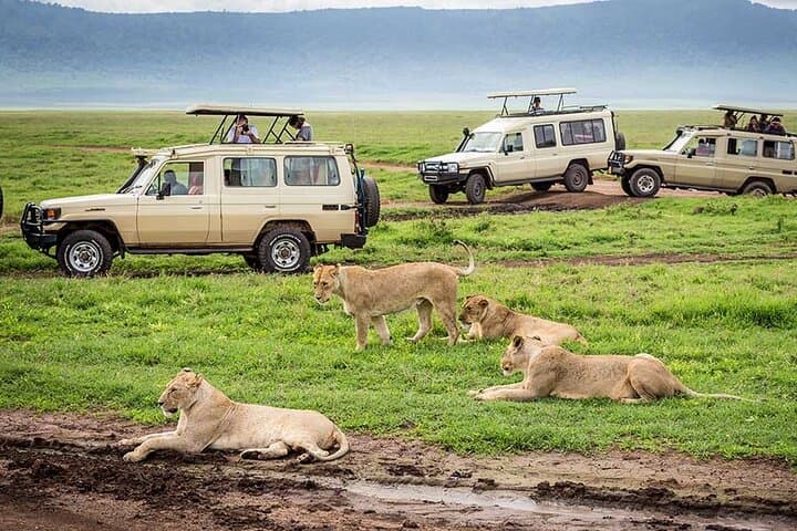 9-Day Luxury Tanzania Safari and Zanzibar Beach Escape photo 1