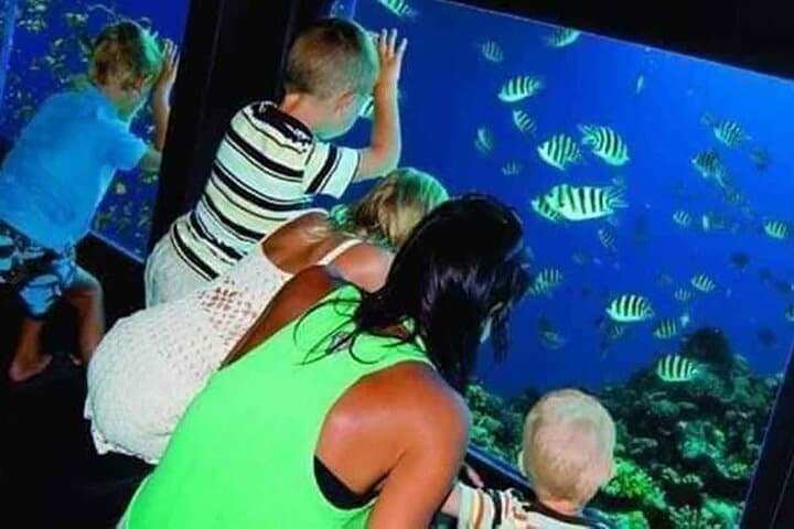 Hurghada Semi-Submarine Tour: 2-Hour Red Sea Underwater Adventure