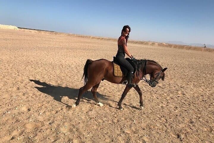 Two-Hour Horseback Ride on Hurghada Beach and Desert — Ride Into the Red Sea photo 6