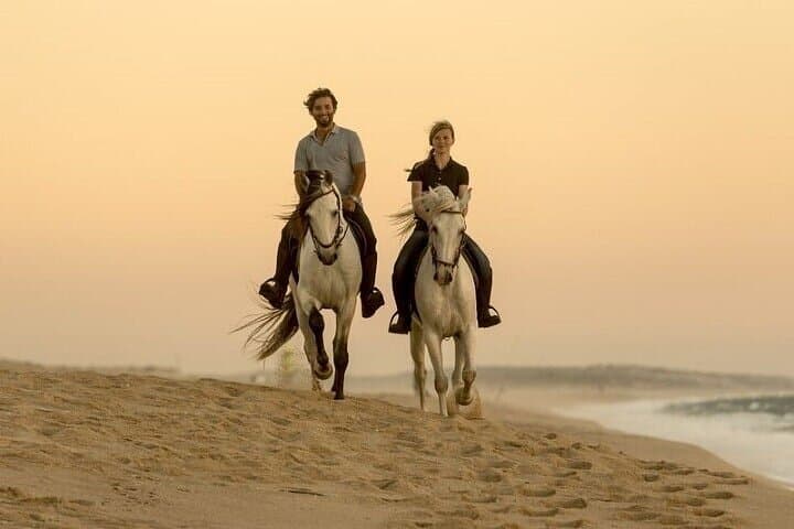 Two-Hour Horseback Ride on Hurghada Beach and Desert — Ride Into the Red Sea photo 5
