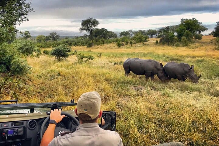 Solio Ranch 2-Day Luxury Safari: Rhino-Focused Game Drives from Nairobi