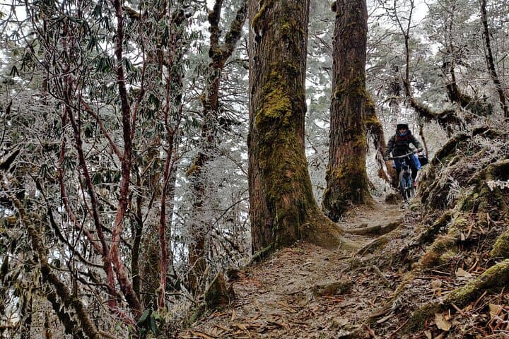 10-Day Mountain Biking Expedition in Bhutan: Paro to Phobjikha photo 3