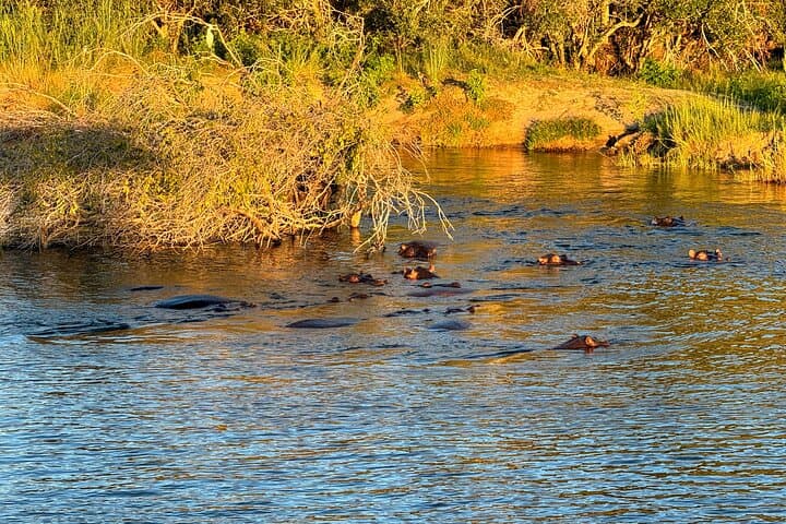 Zambezi Sunset Cruise & Shearwater Adventure — Victoria Falls Experience photo 4