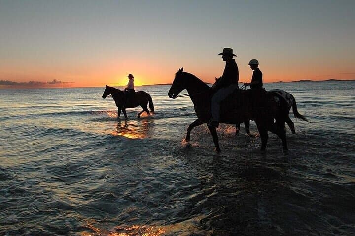 Beach Horse Riding in Sharm El-Sheikh — One-Hour Coastal Ride photo 6