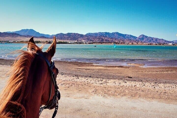 Beach Horse Riding in Sharm El-Sheikh — One-Hour Coastal Ride photo 2