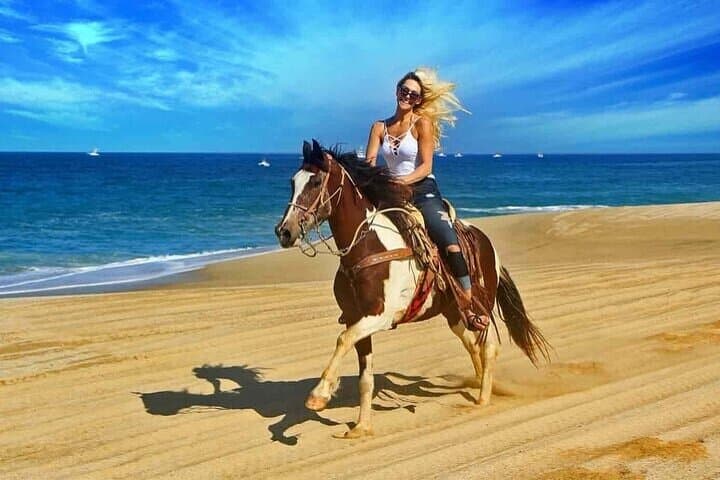 Beach Horse Riding in Sharm El-Sheikh — One-Hour Coastal Ride
