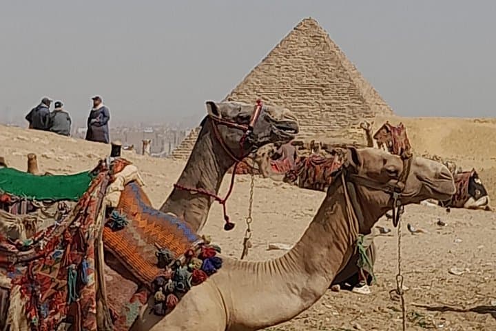 Giza Pyramids and Grand Egyptian Museum: Full-Day Private Tour from Cairo photo 1