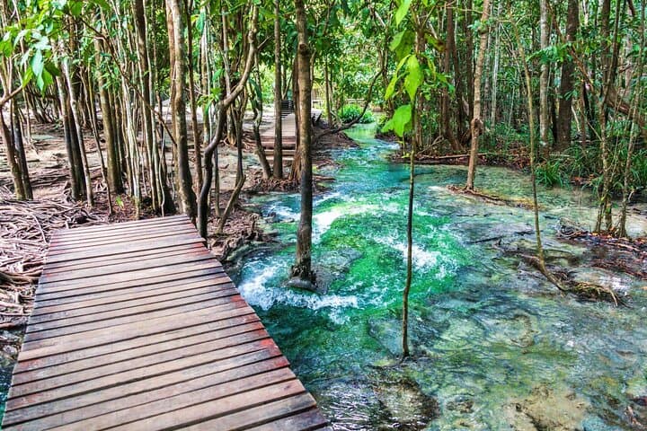 Krabi Jungle Tour: Hot Springs, Emerald Pool & Tiger Cave Temple Full-Day Adventure