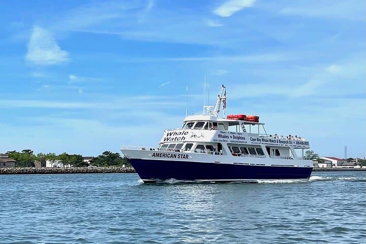 Cape May Dolphin and Bird Watching Ecotour Cruise — Marine Biologist-Led 2-Hour Cruise photo 2