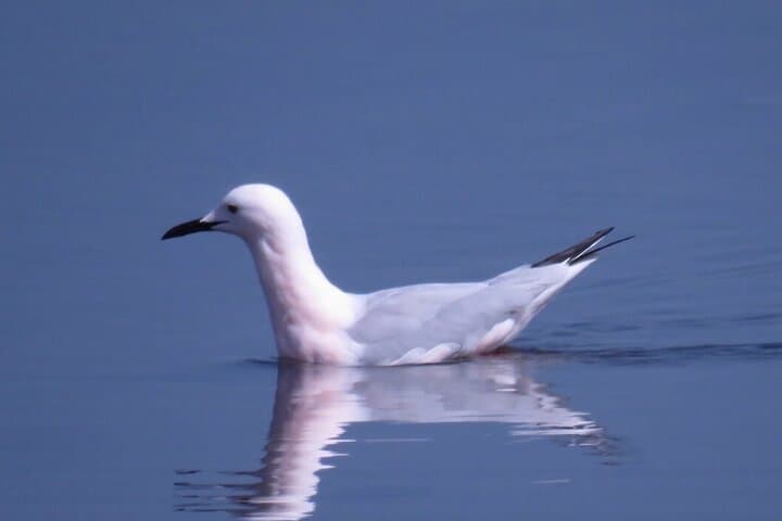 Holistic Immersion in the Ebro Delta: les Terres de l'Ebre Biosphere Reserve Experience photo 2