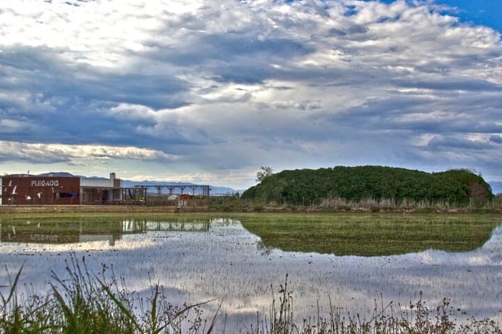 Holistic Immersion in the Ebro Delta: les Terres de l'Ebre Biosphere Reserve Experience photo 3